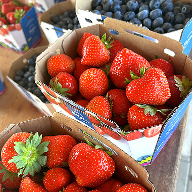 erdbeerland-leitersdorf2