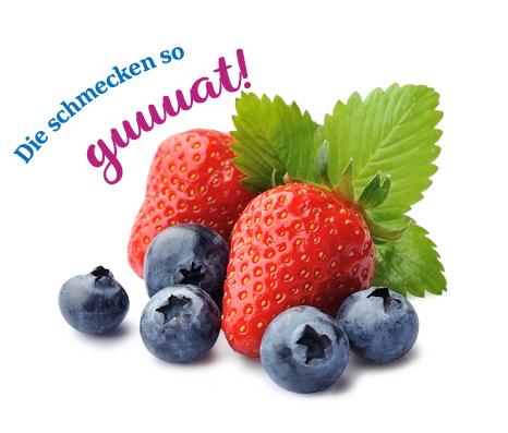 heidelbeerland-erdbeerland