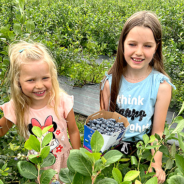 heidelbeerland-leitersdorf2